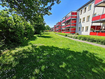 Blühwiese